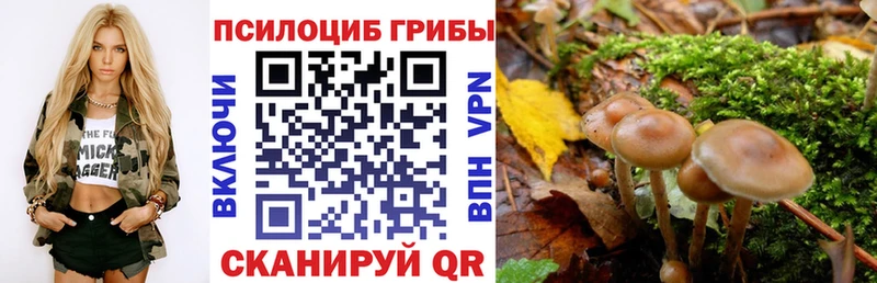 Галлюциногенные грибы ЛСД  Зеленокумск 