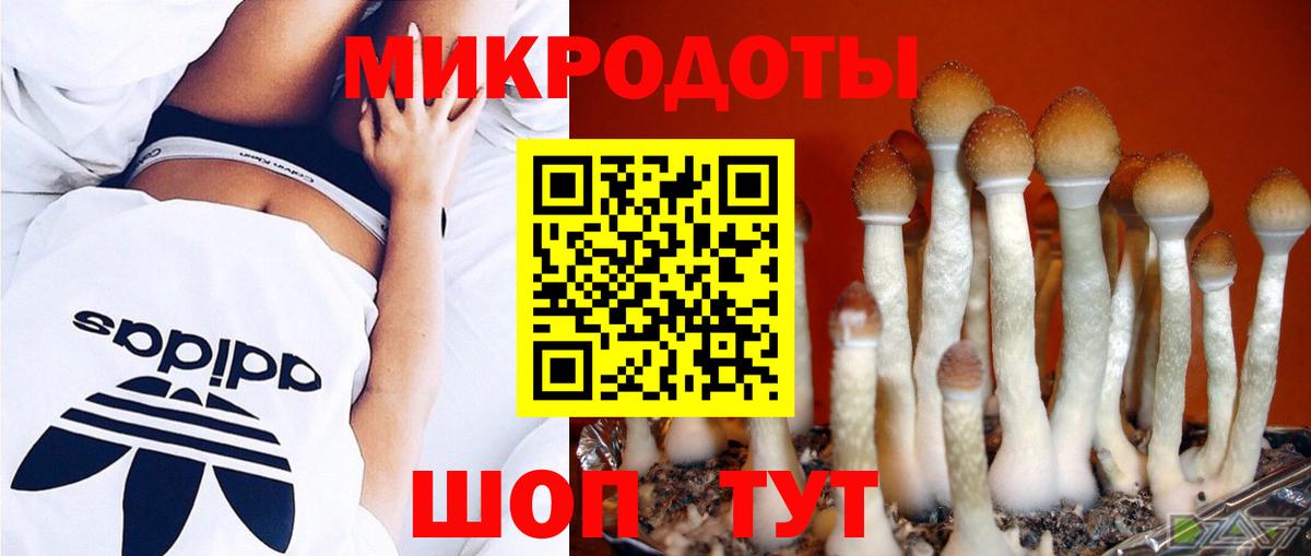 Псилоцибиновые грибы Psilocybe Зеленокумск